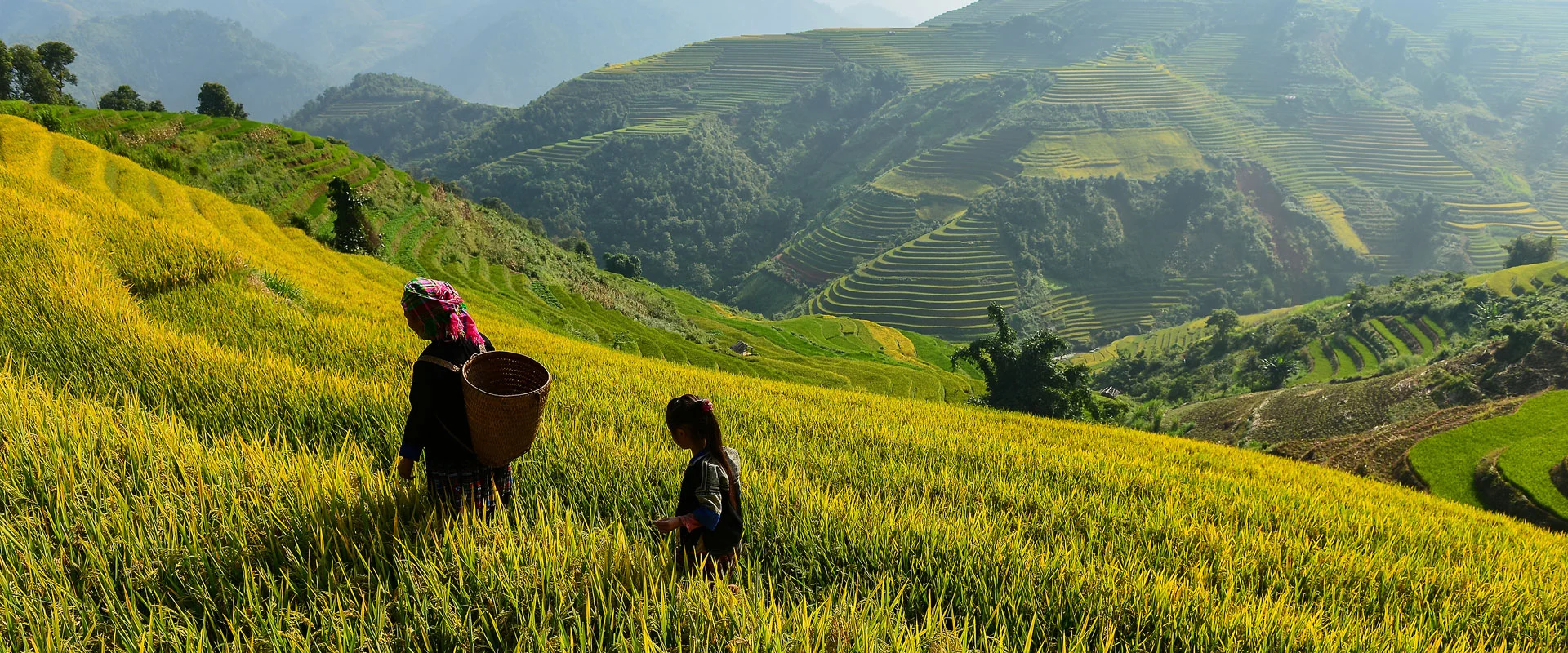 Vietnam landscape 3