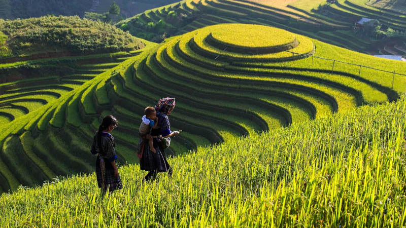 Bac Ha Market Weekend — 6