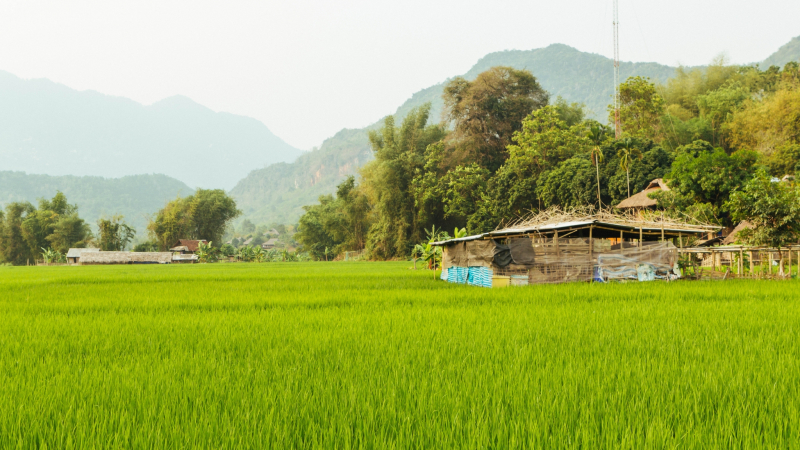 Best of Vietnam: World Heritage Sites 15 Days — 6