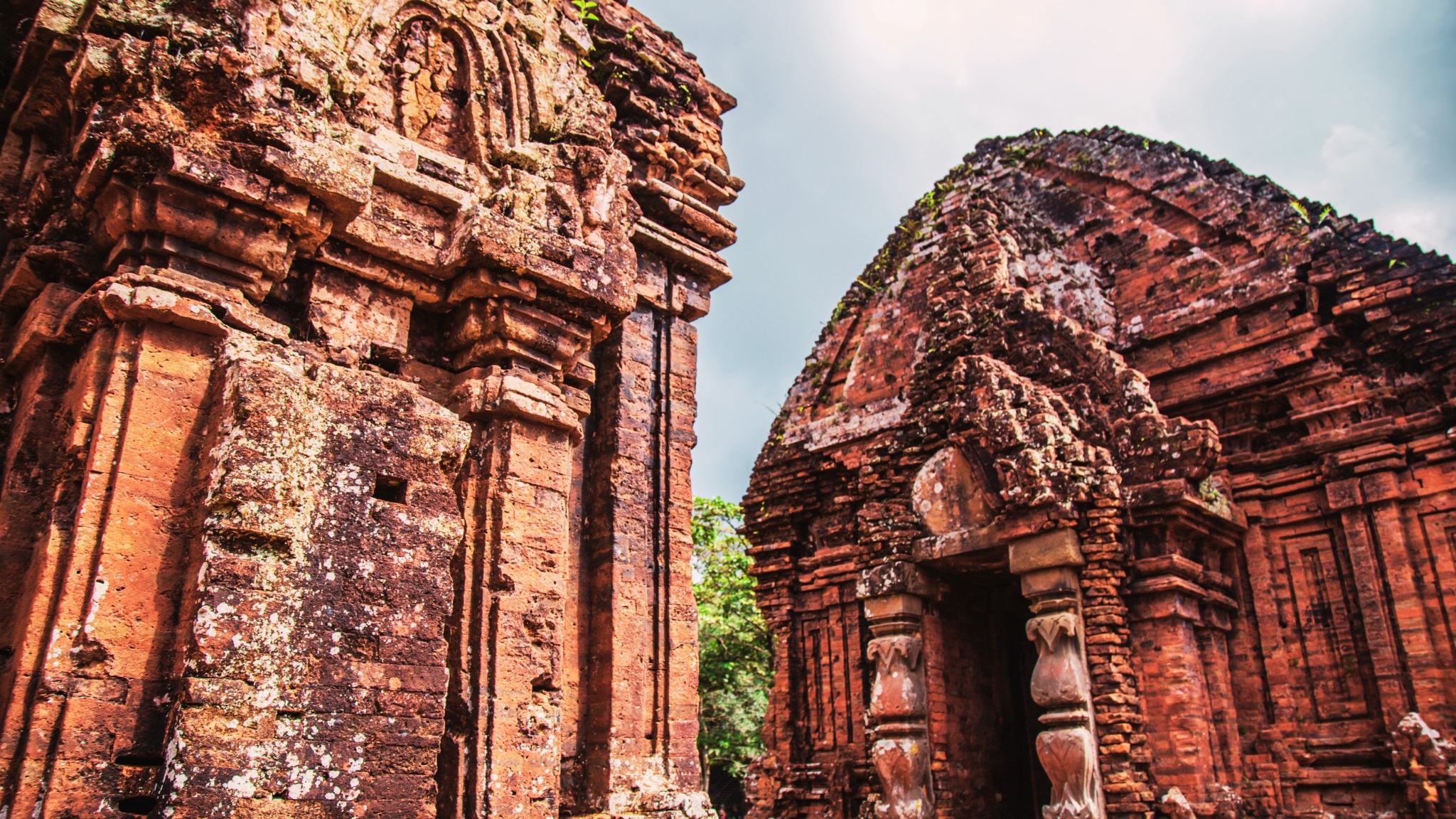 Bike to My Son Sanctuary from Hoi An Day Trip