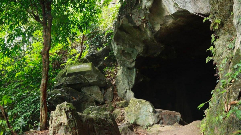 Cuc Phuong National Park Full Day — 4
