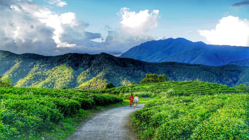 Northern Vietnam Cultural Journey 9 days — 1