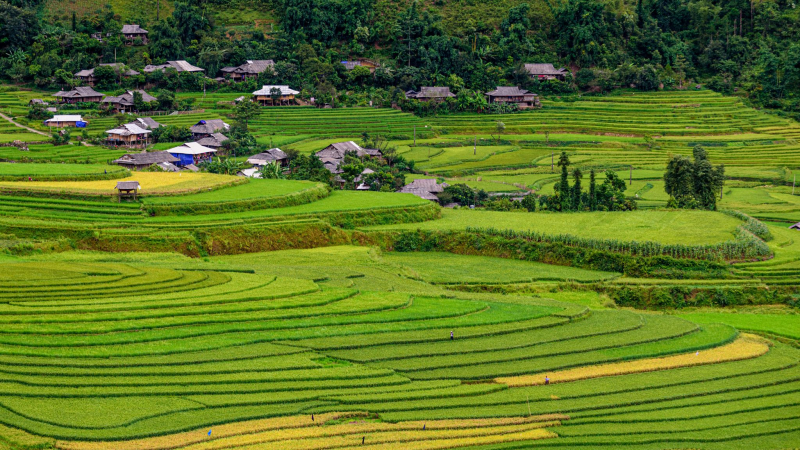 Northern Vietnam Cultural Journey 9 days — 2
