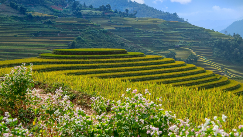 Northern Vietnam Cultural Journey 9 days — 4