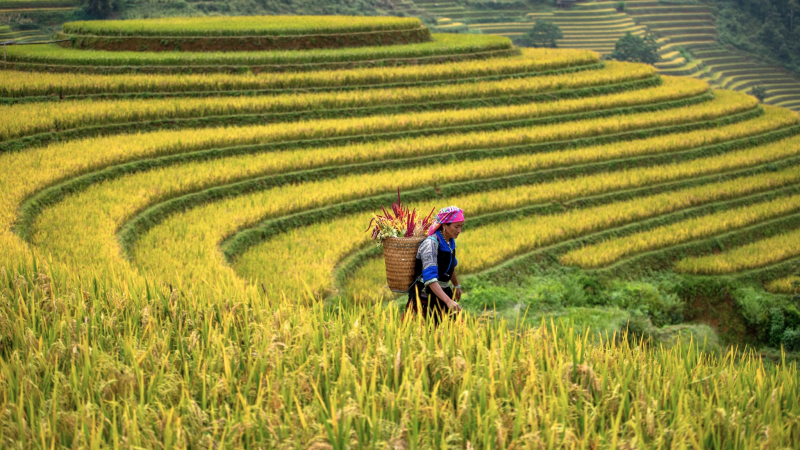 Ha Giang & Ba Be Adventure 7 Days — 1