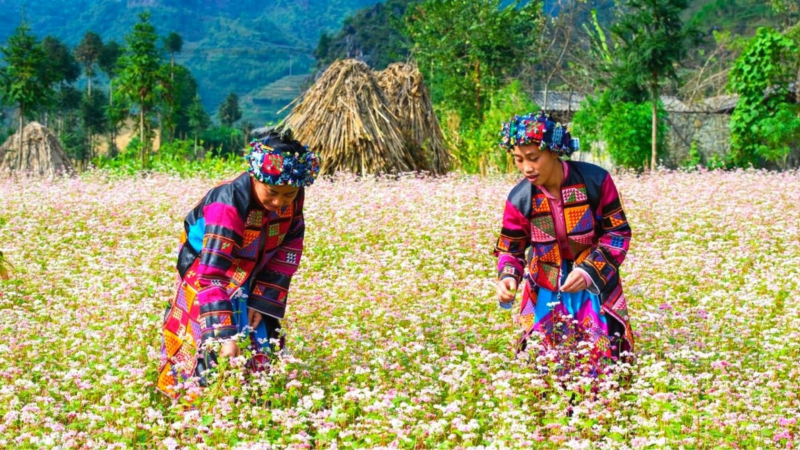 Ha Giang & Ba Be Adventure 7 Days — 6