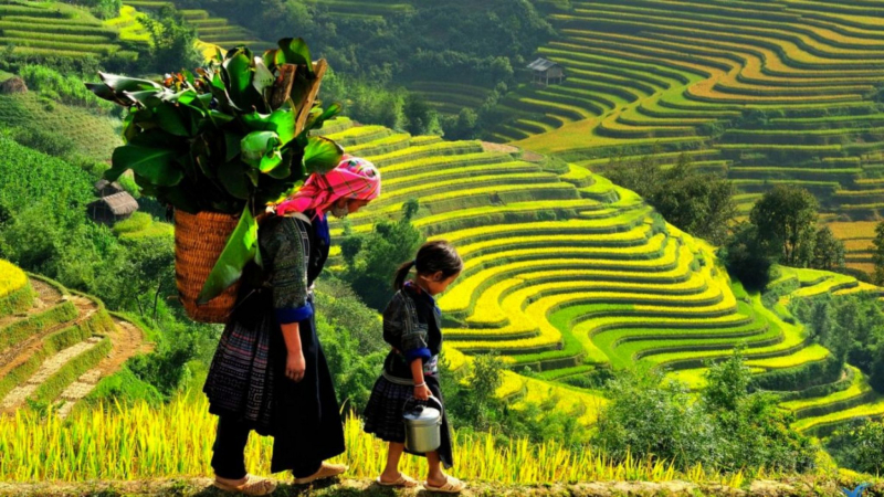 Highlights Sapa with Fansipan Mountain — 2