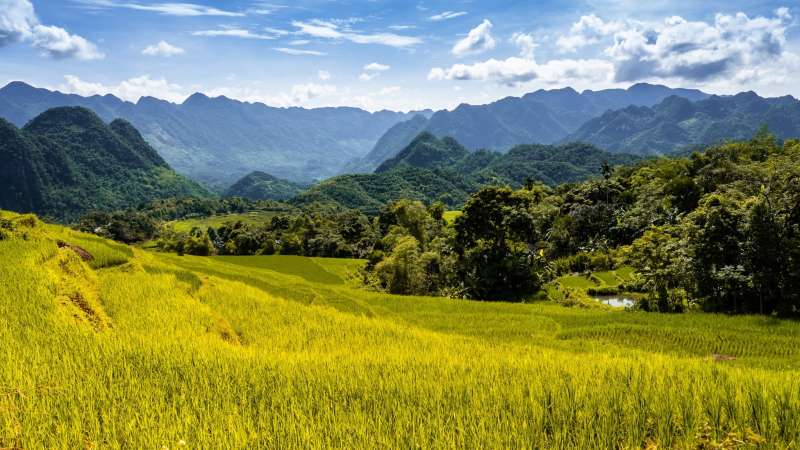 Luxury Central Vietnam Retreat — 5