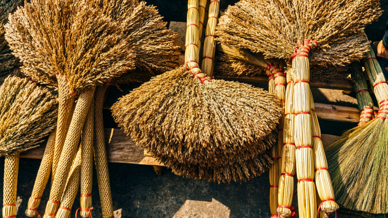 Mekong Delta Authentic Experience — 3