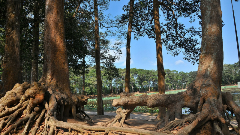 Mekong Delta Authentic Experience — 5