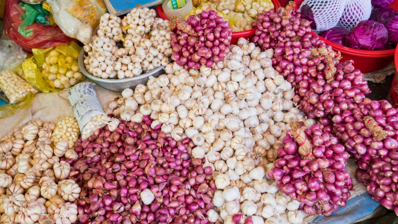 Mekong Local Life: Cai Be & Tan Phong Island — 3