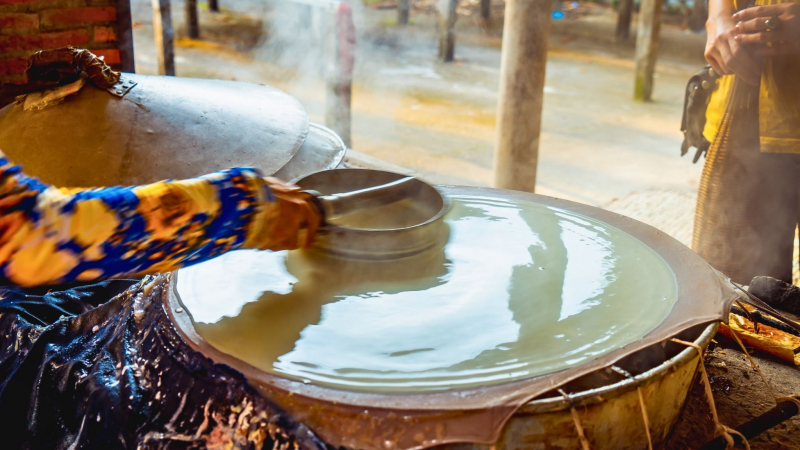 Mekong Local Life: Cai Be & Tan Phong Island — 6