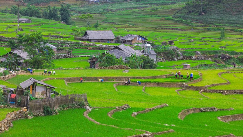 North Vietnam at A Glance: Sapa & Halong — 4