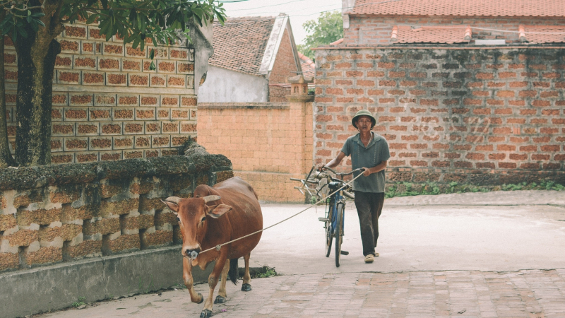 Northern Vietnam Soft Adventure — 6