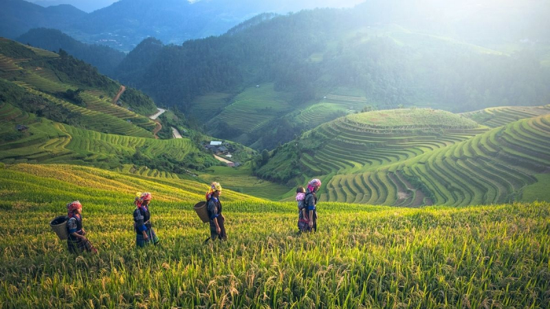 Pu Luong Ethnic Trekking — 1