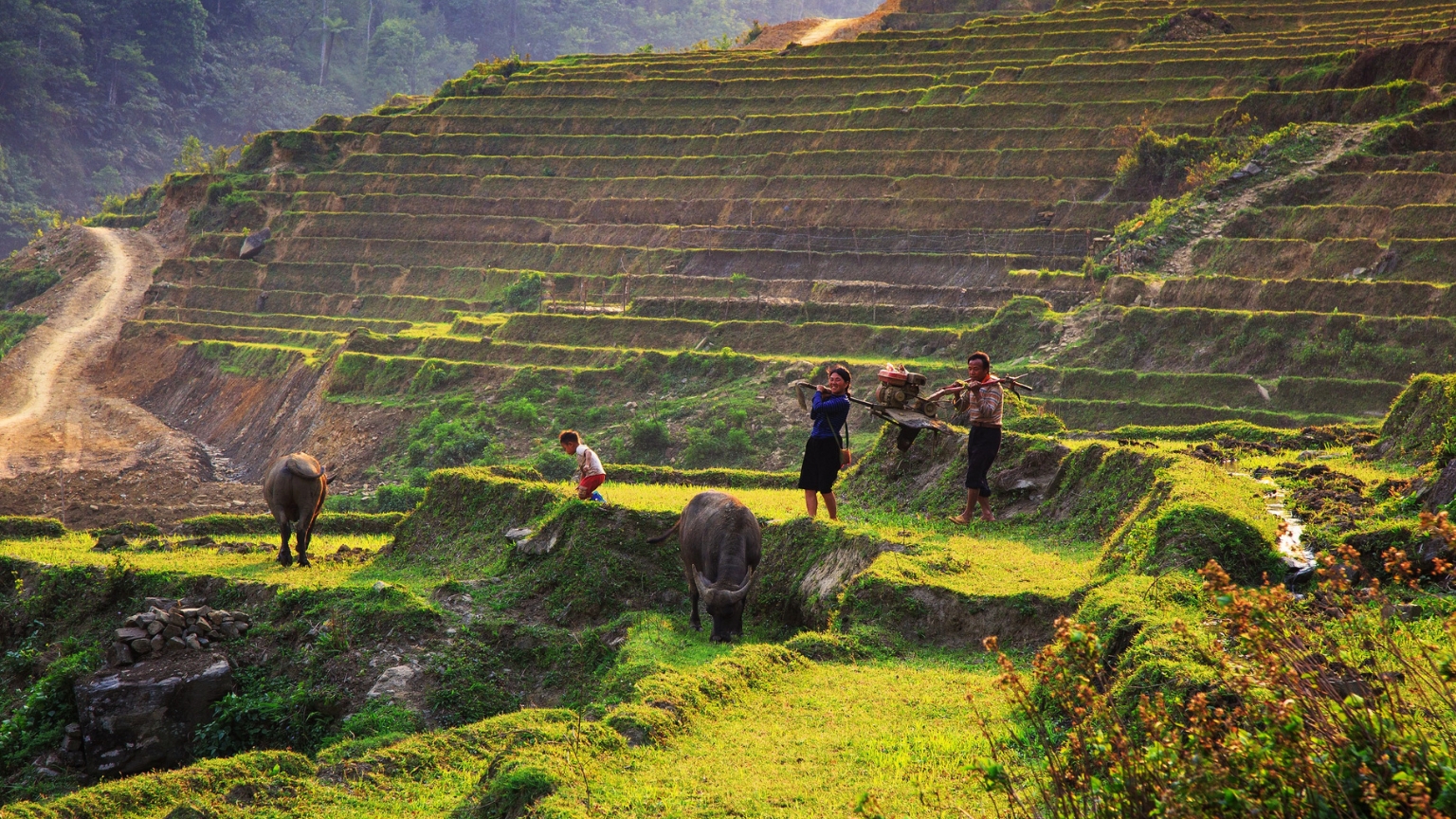 Sapa & Fansipan Adventure