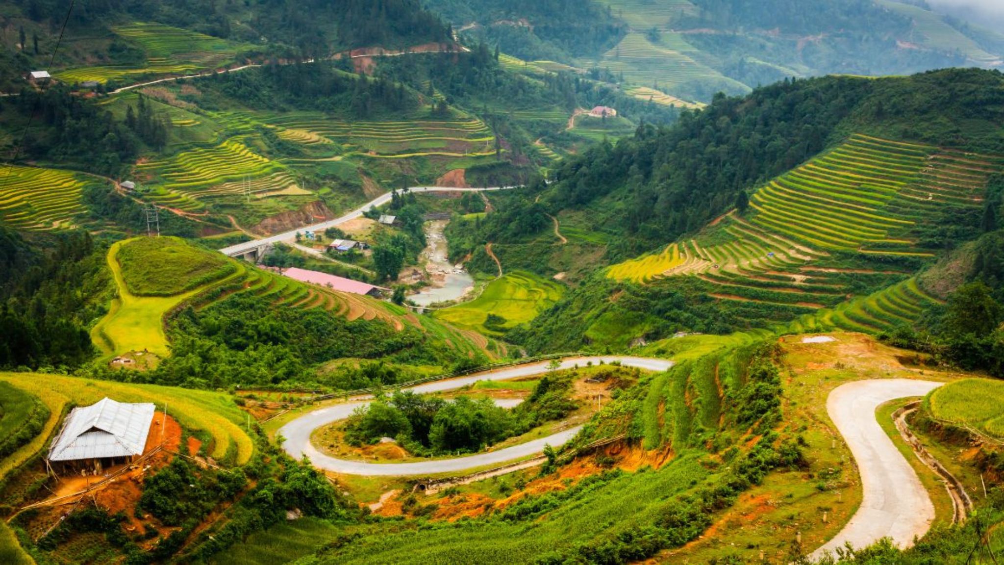 Sapa Rice Terrace Photography