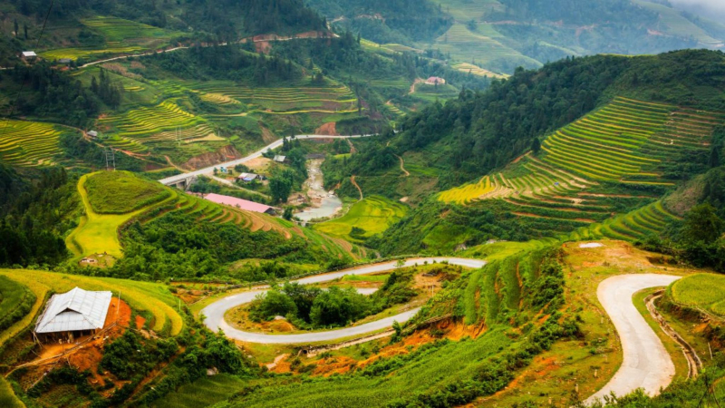 Sapa Rice Fields & Homestay Trek — 1