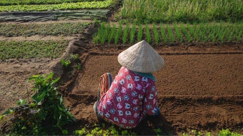Private Tour - Tra Que Vegetable Village Half-day — 6