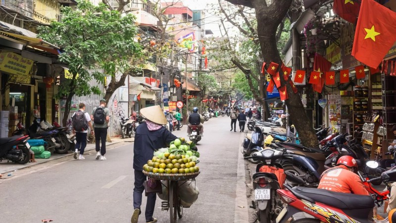 Vietnam Traditional Therapies & Natural Wonders — 2